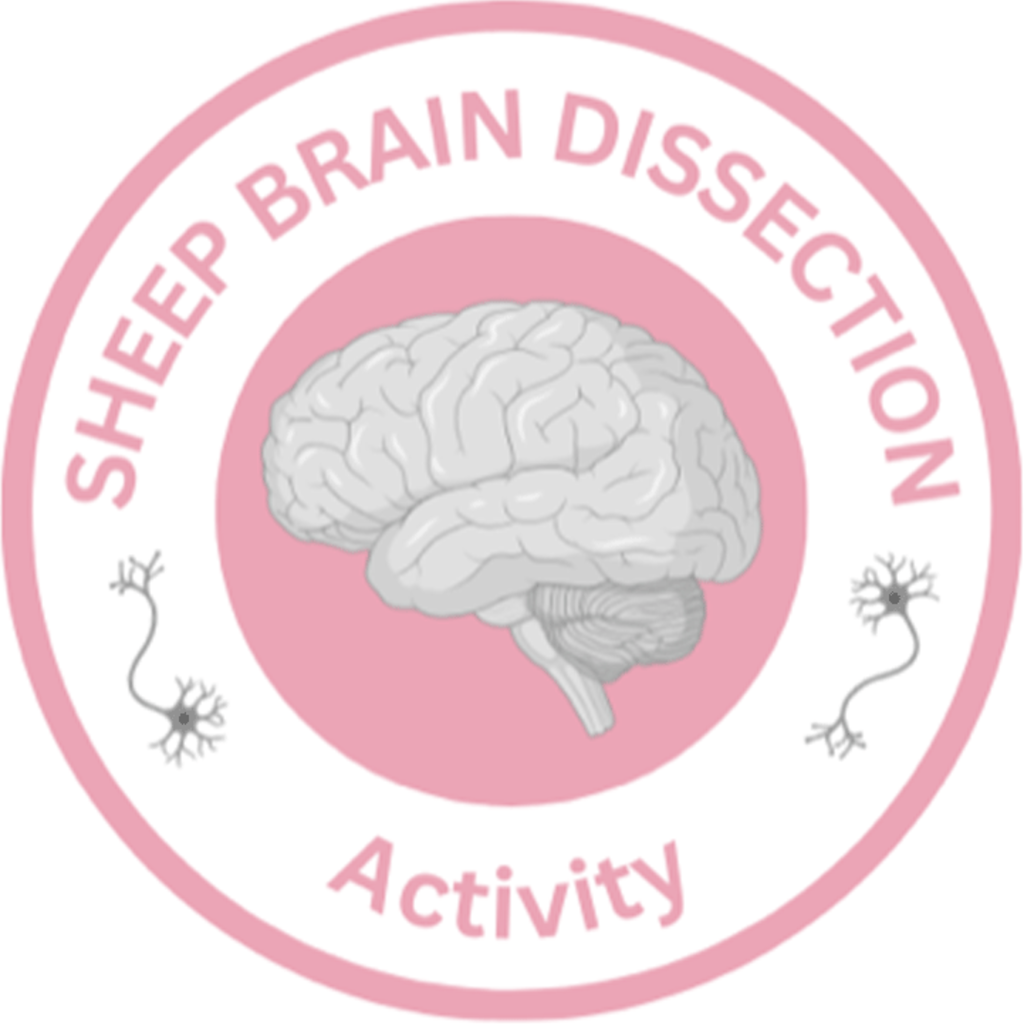 Sheep Brain Dissection Logo